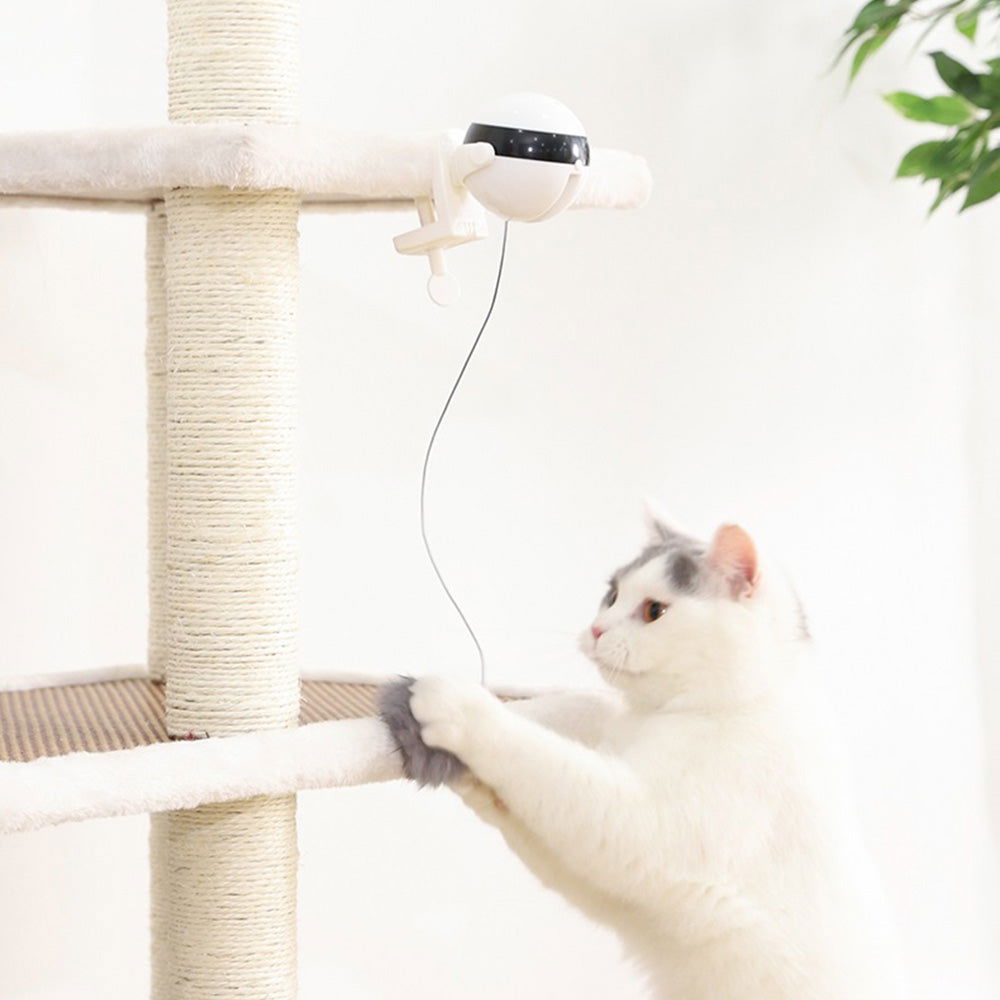 TopTrendyProduct Interactive Electric Cat Toy - Lifting Ball & Flutter Rotating Design TopTrendyProduct Cat Pet Supplies