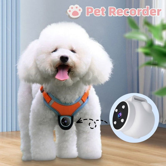 TopTrendyProduct Pets Tracker Collar Motion Recording Camera for Dogs And Cats ZAG Pet Supplies